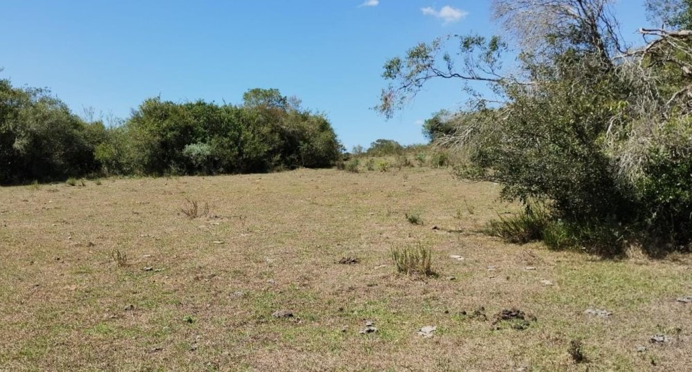 Fazenda - Venda - Centro - Pinheiro Machado - RS