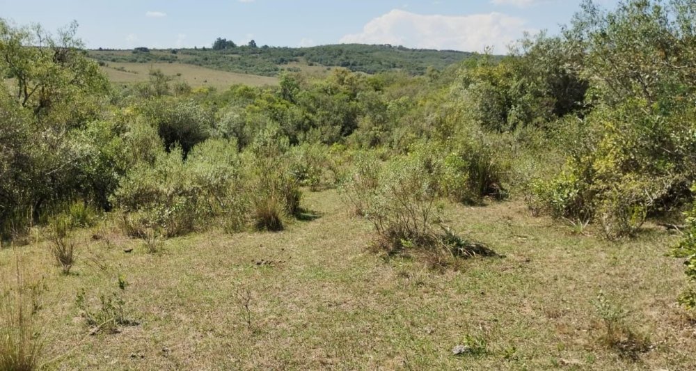 Fazenda - Venda - Centro - Pinheiro Machado - RS