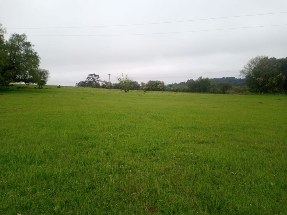 Stio - Venda - Br 392 - Canguu - RS