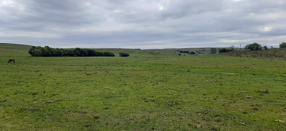 Sítio - Venda - Vacacaí - São Gabriel - RS