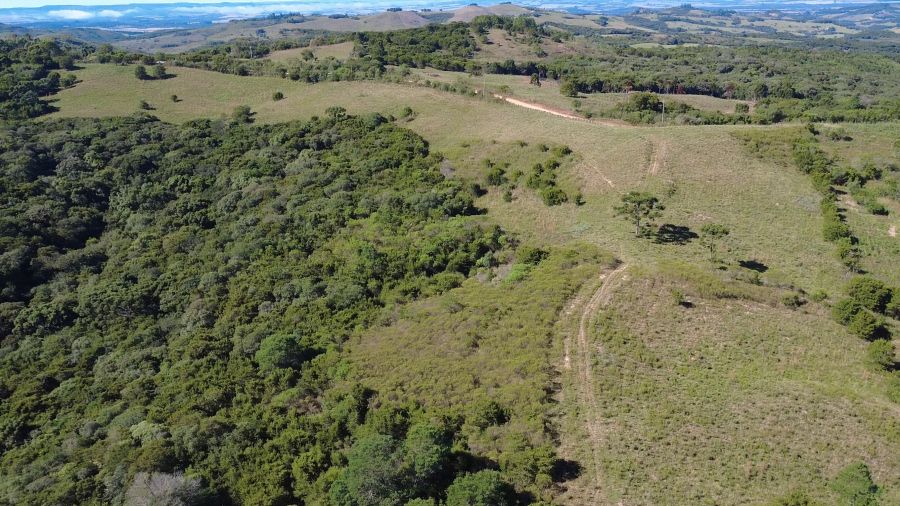 Fazenda - Venda - Br 392 - Santana da Boa Vista - RS