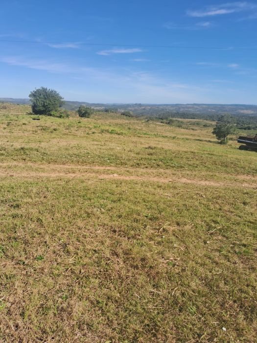Fazenda - Venda - Centro - Pinheiro Machado - RS