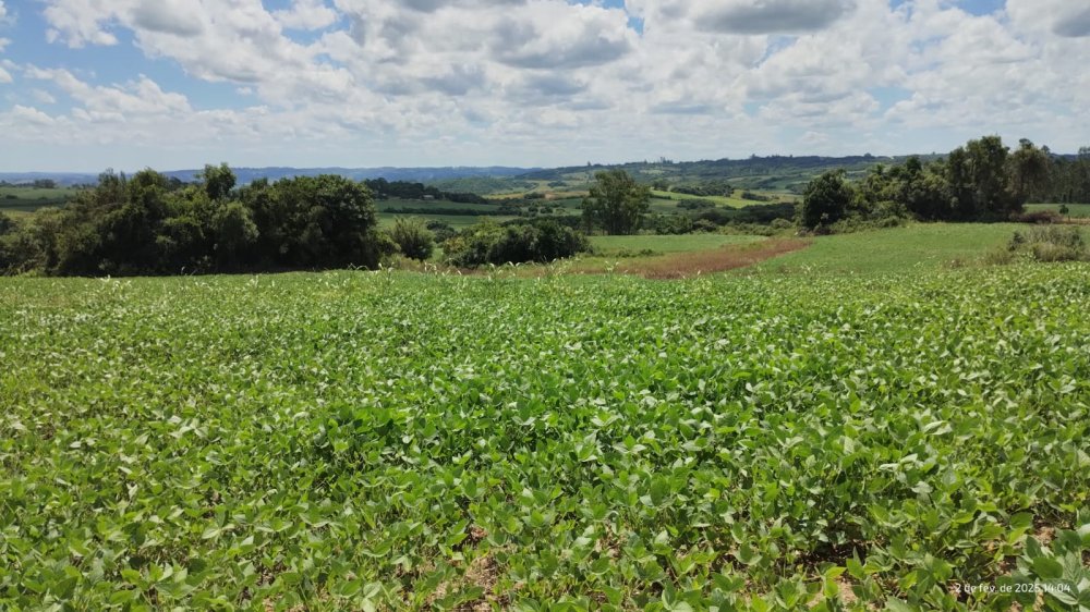 Chcara - Venda - Vila Freire - Cerrito - RS