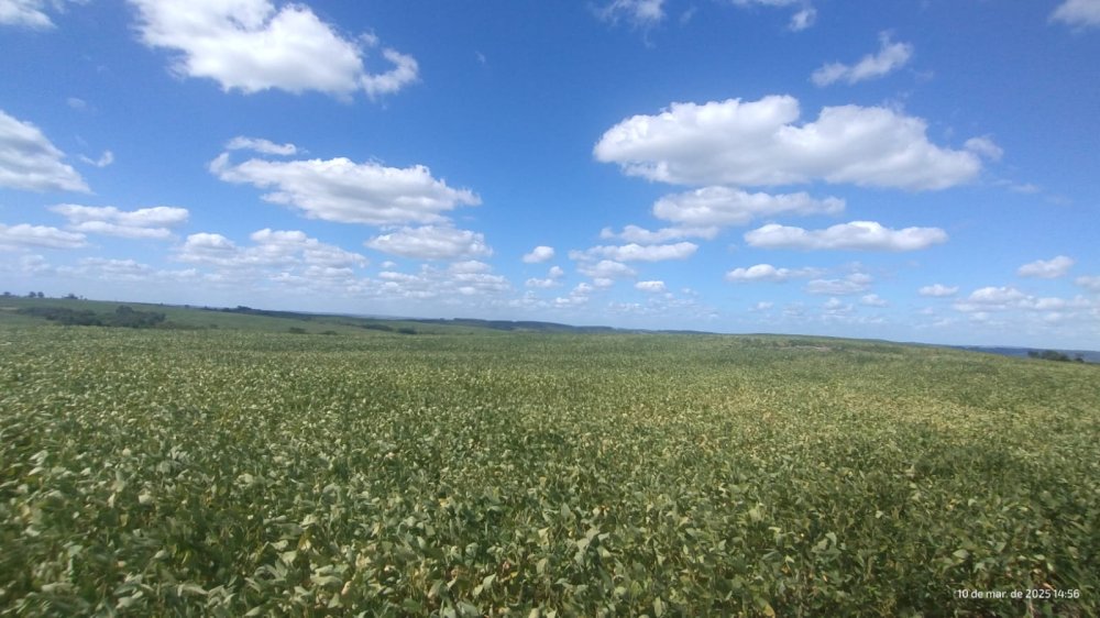 Fazenda - Venda - Centro - Herval - RS