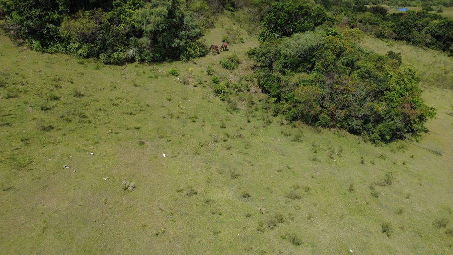 Fazenda - Venda - Rural - São Jerônimo - RS