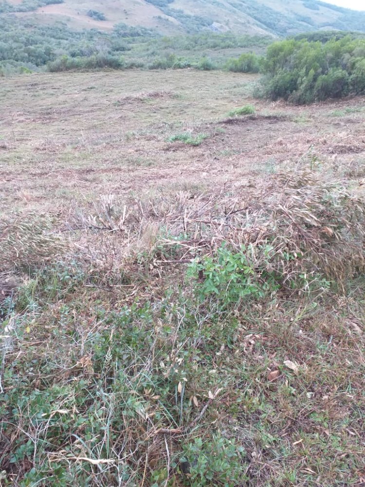 Fazenda - Venda - Centro - Pinheiro Machado - RS