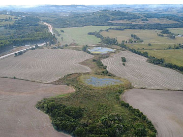 50 hectares nas margns da RS com excelente aproveitamento