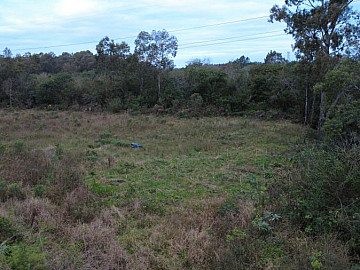 CAMPO DE 28 HECTARES NAS MARGENS DA BR 392 3 KM DA FENADOCE