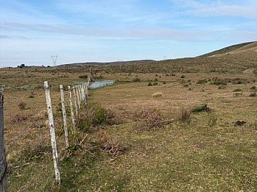 FAZENDA 115HA PINHEIRO MACHADO
