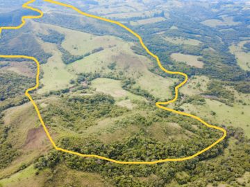FAZENDA DE 105 HECTARES EM SANTANA DA BOA VISTA