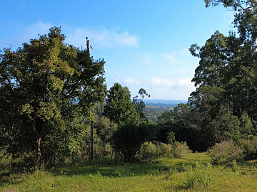 6 hectares na cascata 1km da BR
