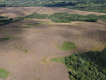 Fazenda 80 Hectares � Venda