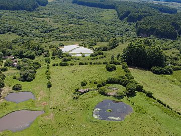 Fazenda 860 hectares em Santana da Boa Vista