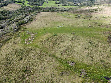 Fazenda 73 hectares em Pinheiro Machado