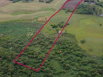 Ch�cara de 5 hectares em Pelotas