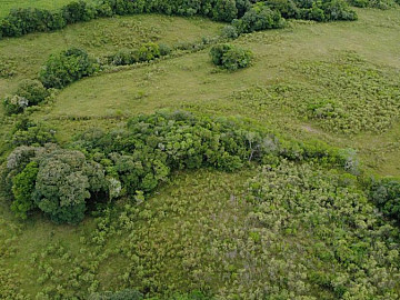 35 hectares em Cangu�u
