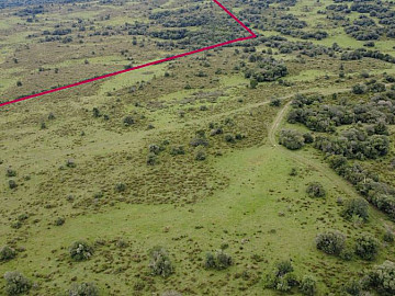 Fazenda em Pinheiro Machado 225 hectares