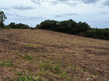 63 hectates Sentinela do Sul