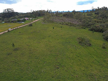 6 hectares no Cerrito
