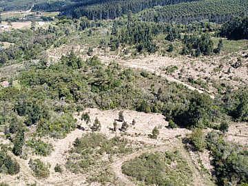 S�tio em Mariana Pimentel 32 hectares