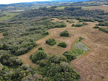 CAMPO DE 38 HECTARES EM CERRITO