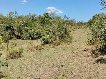 S�TIO EM PIRATINI DE 42 HECTARES