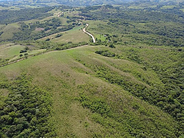 S�tio 41 Hectares em Santana da Boa Vista