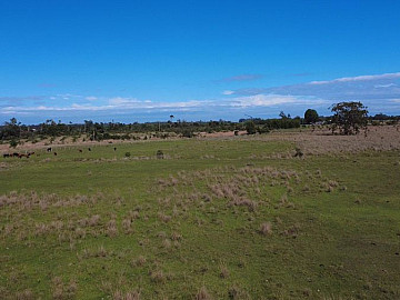 20 HECTARES � VENDA NAS MARGENS DA BR-392 - POVO NOVO / RG