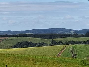 64 hectares em Guaiba