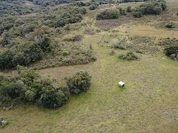 60 hectares em Cangu�u