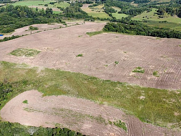 Fazenda em cangu�u 160 hectares