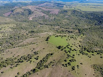 100 hectares em Cangu�u