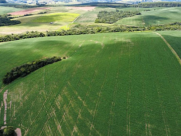 64 hectares em Guaiba