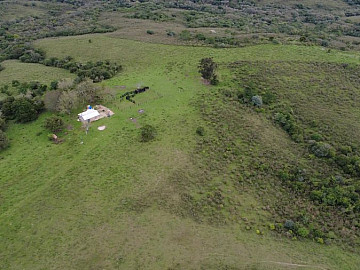 FAZENDA 115HA PINHEIRO MACHADO