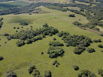Fazendo de 180 hectares em piratini