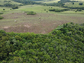 S�tio de 37 hectares em Mariana Pimentel