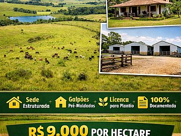 Fazenda de 470 hectares em Piratini
