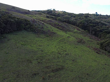 S�tio de 30 hectares em Santana da Boa Vista