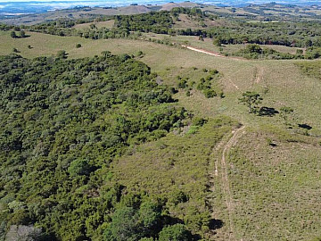 60 HECTARES EM SANTANA DA BOA VISTA