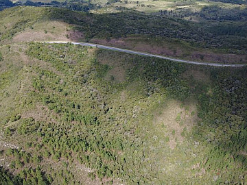 S�tio 53 hectares nas margens da BR 392, R$ 4.500/ha