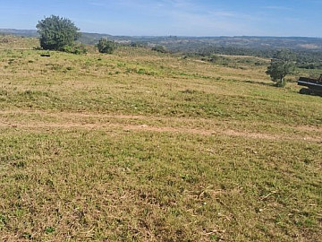 Vendo fazenda de 414ha em Pinheiro Machado