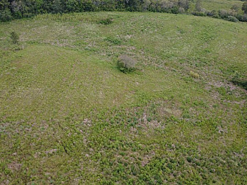 10 HECTARES A 2 KM DE MORRO REDONDO | 8 HA PARA LAVOURA | R$