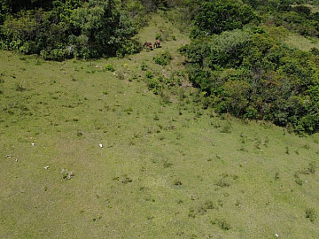 FAZENDA 158 HECTARES EM S�O JERONIMO